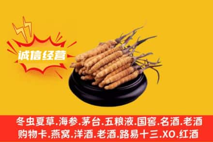 威海市荣成回收冬虫夏草